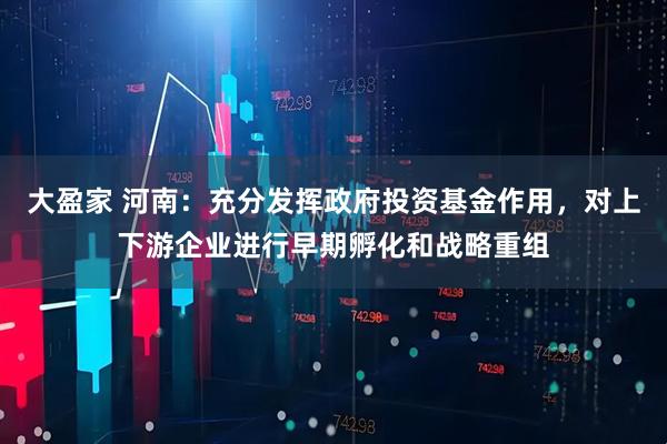 大盈家 河南：充分发挥政府投资基金作用，对上下游企业进行早期孵化和战略重组