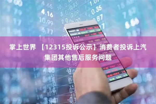 掌上世界 【12315投诉公示】消费者投诉上汽集团其他售后服务问题