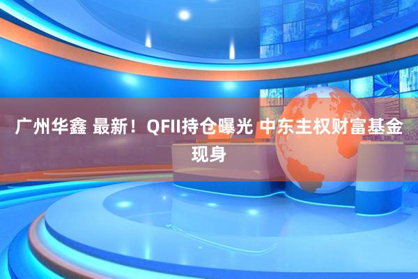 广州华鑫 最新！QFII持仓曝光 中东主权财富基金现身